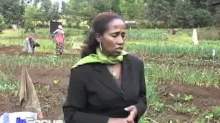 HIV:AIDS Patients becoming Farmers