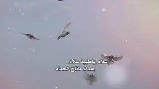 شيلة المدينة كلمات فهد عواض بن جويبر اداء وسام بن فهد مونتاج العرين