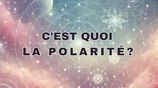 Qu'est ce que la Polarit&eacute; ?