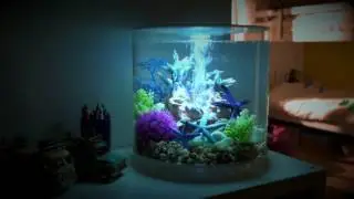 biOrb TUBE MCR Light