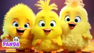 LOS POLLITOS DICEN PIO PIO, Canciones infantiles 🐤🐥| Little Panda Doctor Espa&ntilde;ola