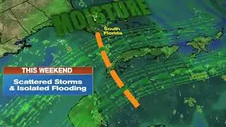 Atención #lluvia en #Florida este fin de semana.