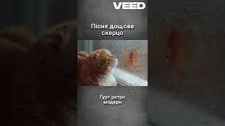 Дощове скерцо  #coversong #music #cover #opm #live#shorts
