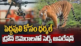 పెద్దపులి కోసం ధర్మల్ డ్రోన్ కెమెరాలతో సెర్చ్ ఆపరేషన్ | East Godavari District | Prime9 News