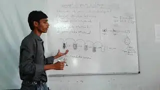 Hyd Govt City College Biotech Devender BSc II Year