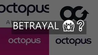 octopus group review  is it legit or a scam the truth is