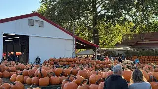 A Quick Visit To Szalay's Farm & Market Featuring Marcc Nutter 7 September 2025