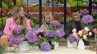 Live's Summer School: Flower Arranging with Christina Stembel