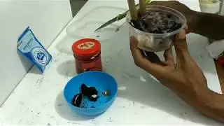 Mudahnya membuat es krim yg menarik untuk keluarga
