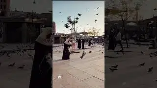 نظرة نظرة لي نظرة منكم يا أبا الزهرا 🌹#Keşfet #Keşfetteyiz #Keşfetedüş #