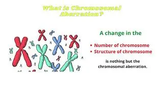 Chromosomal Aberration | Biology Ideas