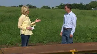Feeding Livestock Sprouted Wheat (7/17/21)