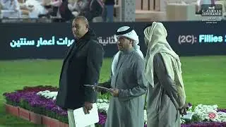 N.241 AJMAA ALSALAM - The 8th International AHC Show 2025 - Fillies 2 Years Old - Section C