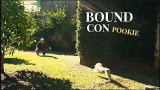 Bound con Pookie // Sony Alpha 6100