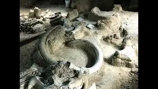 Waco Mammoth National Monument where you can learn about the Ice Age