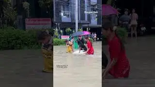 Beloved dog evacuated like a princess