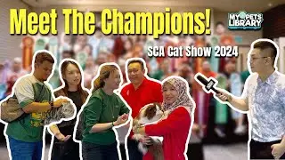 SCA Cat Show 2024: Exclusive Interviews with the Champions 🏆