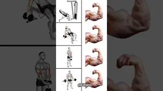 Increase Bicep workout #shorts#youtubeshorts#Animatedworkout#animationworkout