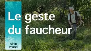 Le geste du faucheur