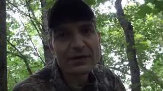 How to Scout and Hunt Deer