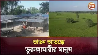 আবারও ভাঙন আতঙ্কে ভুরুঙ্গামারী চরের বাসিন্দারা | Kurigram News | Channel 24