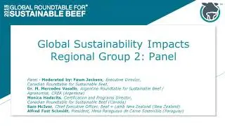 Panel - Global Sustainability Impacts - Argentina, Canada, New Zealand, and Paraguay