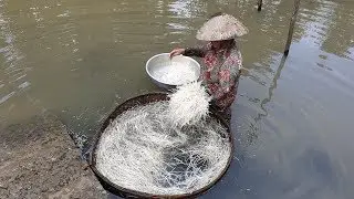 Cách phân biệt giá đỗ sạch với giá đỗ dùng thuốc kích thích từ người trong nghề