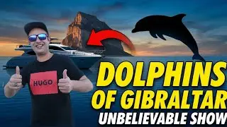 GIBRALTAR - A Wonderful Winter Excursion!