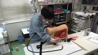 #562前半　『無痛大腸内視鏡「水浸法」の実演　コロンモデルによるワンパターン挿入法の実践』