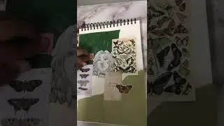 Journalingg #journaling #sticker #butterfly #fypシ #fyp #art #stickers #butterflies #journalinglife