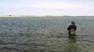 Bluefishing on Martha's Vineyard