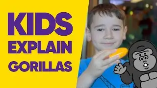How To Talk Like A Gorilla | Kids Explain Earth Stuff #kidsinterview #gorilla  #animaltalk