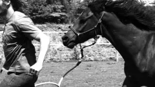 Horse Training Impressions: The Vaquero / Buckaroo Way