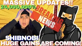 SHINJA - HUGE AMA UPDATES! REFLECTIONS, NFTs, MERCH STORE & BUY BACKS?! THIS IS MASSIVE FOR SHIBNOBI