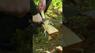 Knife Only Survival 🔪 Batoning Wood + Feathersticks 🔥 #bushcraft #survival #outdoors #camping