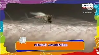 This Sunday on KNC Show: Dengue Awareness