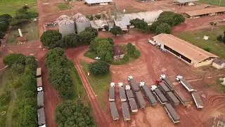 Drone visitando Fazenda em época de colheita de grão ((soja Sf 2026))