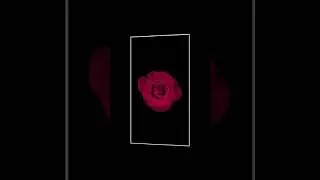 Rose Motion