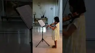 Stella Liu Seitz Concerto No5 in D Major