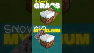 Day 03, Secret Rare Snowy Mycelium Block In Minecraft