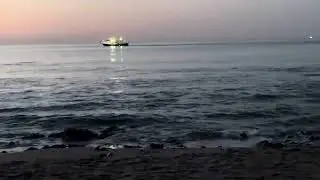 Before Daybreak on Calahonda #beach , The  the Birds Are running by / Spain/ Costa del Sol