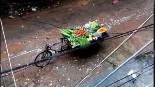 Vegetable vendor selling door to door