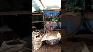 Joe's Redworm Farm Kenya your!