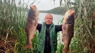 Silver Carp Cooking. Marinated Fish and Fish Soup (no talk) |  Village cooking