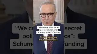 'We cannot have secret police in America': Schumer on DHS funding