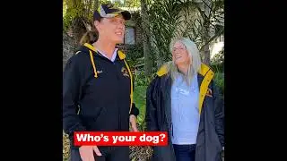 Antinol&reg; Rapid- Real Stories from Dog Parents Across Australia