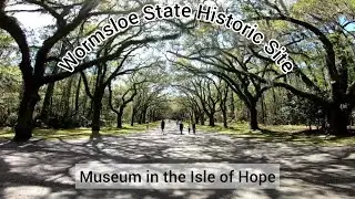 Visiting Wormsloe State Historic Site in Savannah Georgia | Isle of Hope | Georgia State Parks