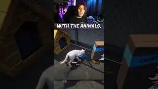 Самая милая игра-симулятор на сегодняшний день! &mdash; Animal Shelter Simulator