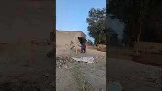 old work in village Punjab Pakistan village movies #famousoldvillage