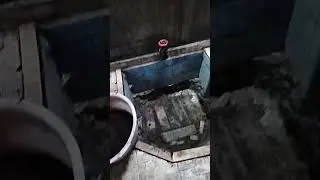 ВИНОДЕЛИЕ НА СИЦИЛИИ. ФАЗА ФЕРМЕНТАЦИИ.